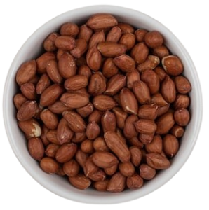 مغز ها
