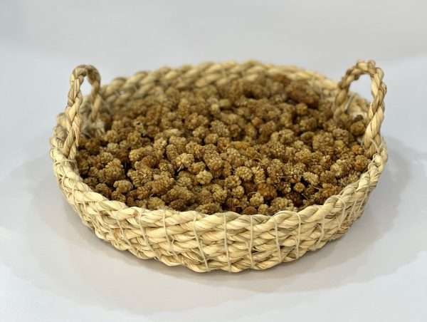 توت خشک کردی