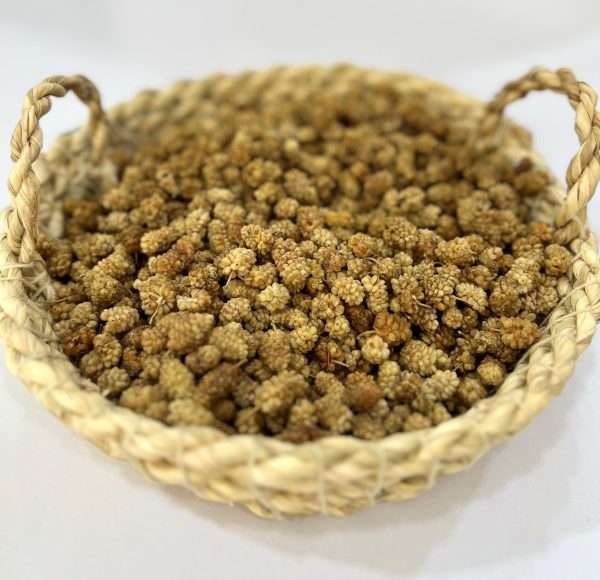 توت خشک کردی
