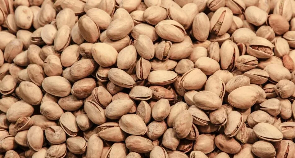 خرید آجیل و خشکبار ایشان